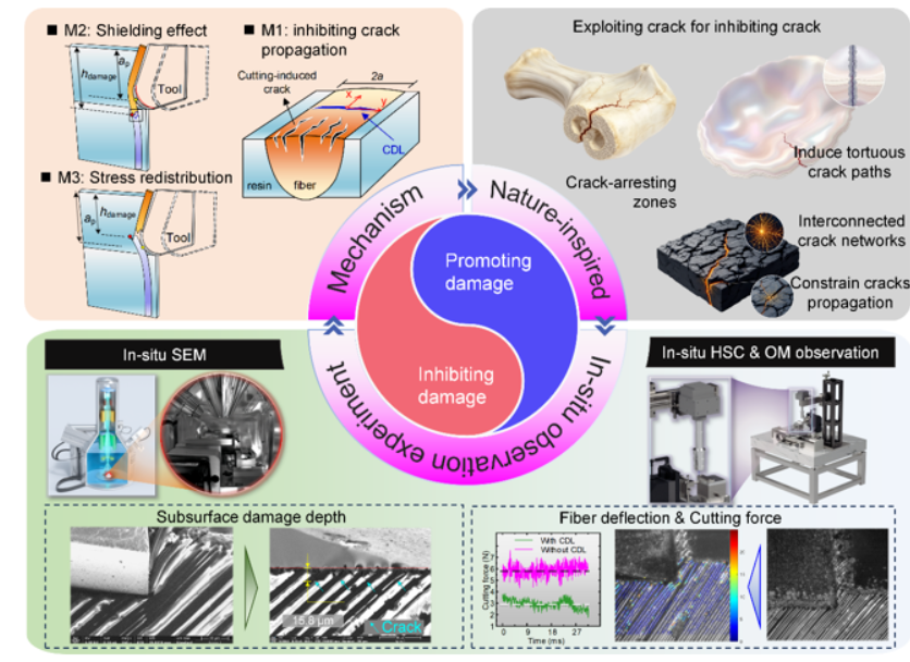 《JMPT》:以损制损:脆性纤维复合材料原位直角切削的反直觉推理