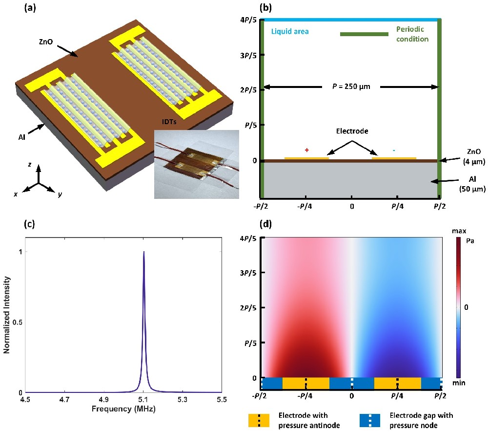 《Lab on a Chip》：基于准Scholte波的声流控芯片实现纳米颗粒的稳定捕获与操控
